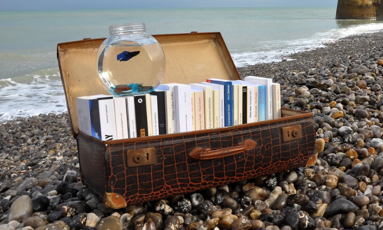 CamilleriJ84080's tweet photo. Renée Sturgill lectrice de 52 ans, installée dans une petite ville rurale achète 146 livres en une journée - 
Son expédition répond à une contrainte très simple : la librairie la plus proche se trouve à plus de deux heures de route... 
 https://t.co/mw7lKncZqS via @actualitte https://t.co/urpgotnypW