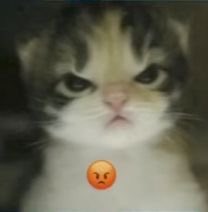edgeofbtrat's tweet photo. ah pero conmigo no escuchaba timo hdtpm https://t.co/wAmXPXH9xc