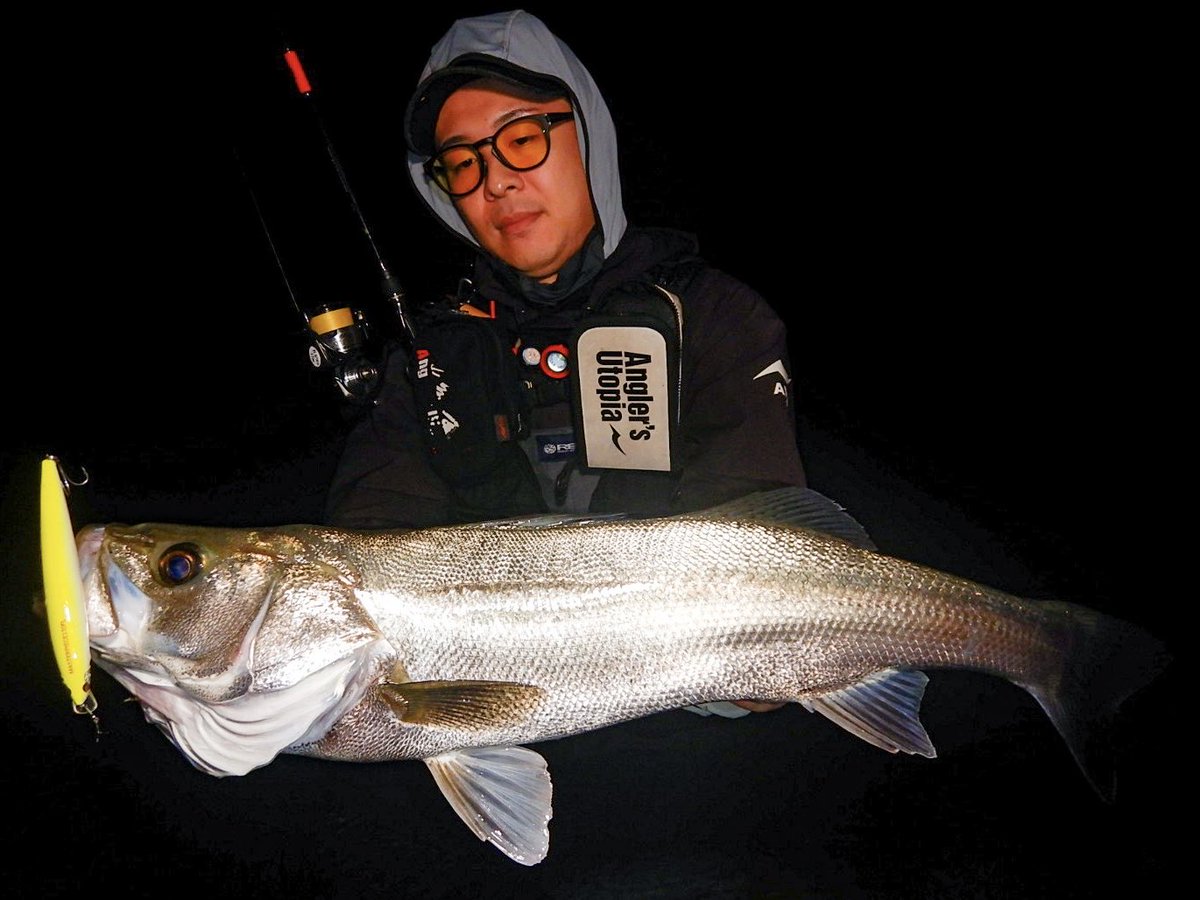 APIA_KAMADA's tweet photo. 瀬の釣りでフワッと流すマスピのF！
誰でも、どこでも使いやすい、クセの無いミノーに仕上がっております〜♪
#APIA
#マスターピース120FL
#雄物川 https://t.co/6H4CDf3KDM