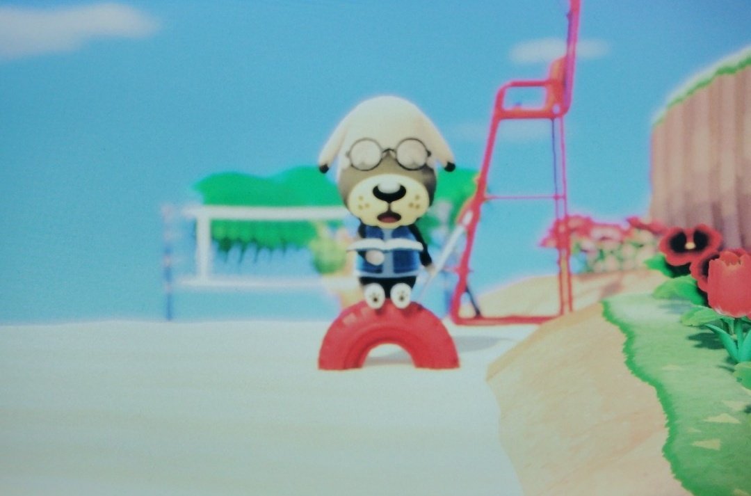 atmriii_'s tweet photo. ボブさん休憩中。。💤
これらはホテルの一室。 #あつ森 https://t.co/TCjF1lgMLo