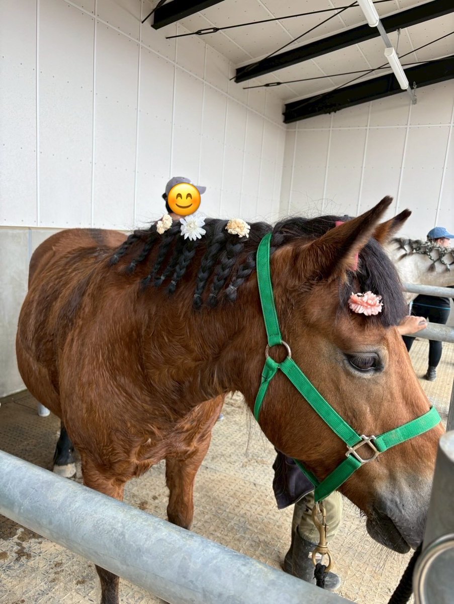 chikudaiumabu's tweet photo. 昨日、小学生対象の乗馬会を行いました🐴✨️
無事晴れてとてもいい外乗日和になりました☀️
馬たちとの触れ合いや乗馬を楽しんでくれて嬉しかったです😊
これを機にもっと馬を身近に感じて、好きになってくれたら嬉しいです🥰
来てくれた皆様、本当にありがとうございました！😊
⁡
🦋 https://t.co/VplQmcDH4p