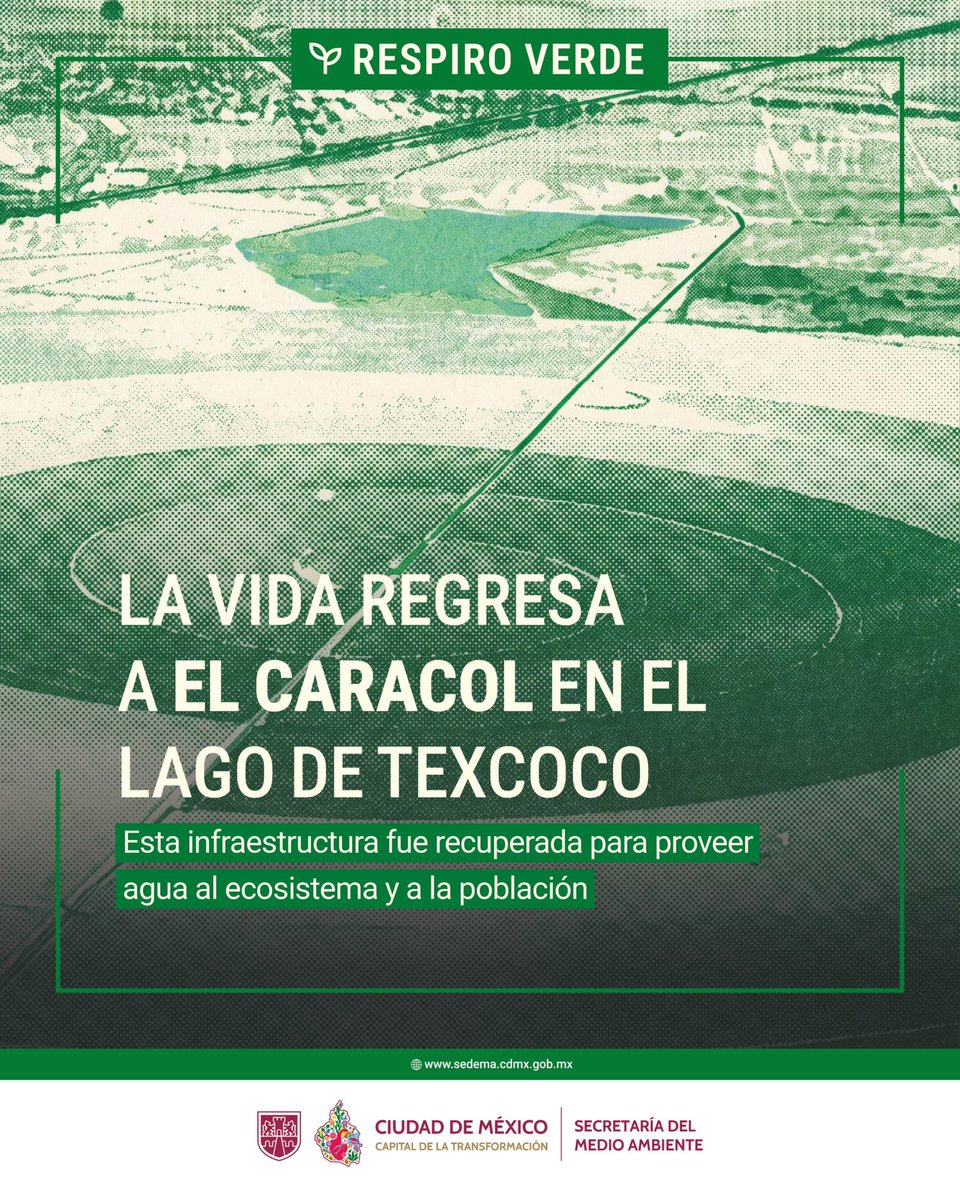 SEDEMA_CDMX's tweet photo. La recuperación de el Caracol, en el Lago de Texcoco, es un paso clave para la restauración de uno de los ecosistemas más importantes de la región. 

En este Respiro Verde conoce cómo este proyecto contribuye a la recuperación ambiental y al cuidado del agua en beneficio de la naturaleza y las futuras generaciones.

1/7 🧵