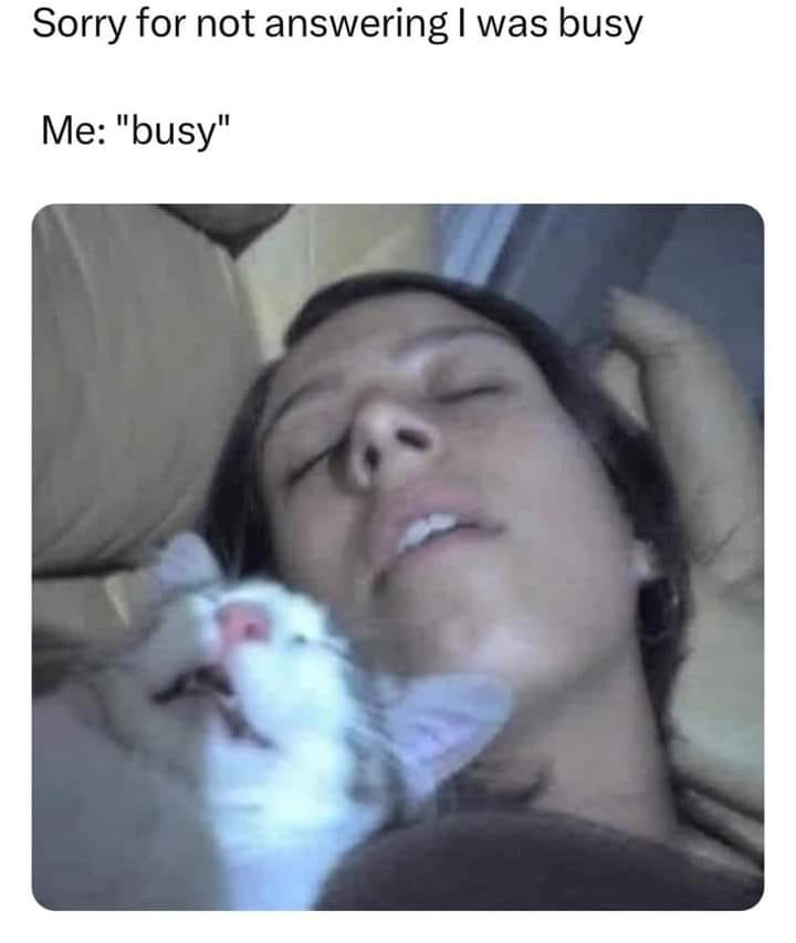 WholesomeMeme's tweet photo. https://t.co/hUuhX87ybt