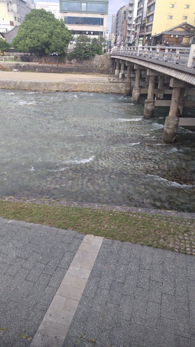 mukatomo's tweet photo. おはようございます。ようやく晴れた朝。ありがたしです。鴨川もきれい。 https://t.co/hrtaUlIsGm
