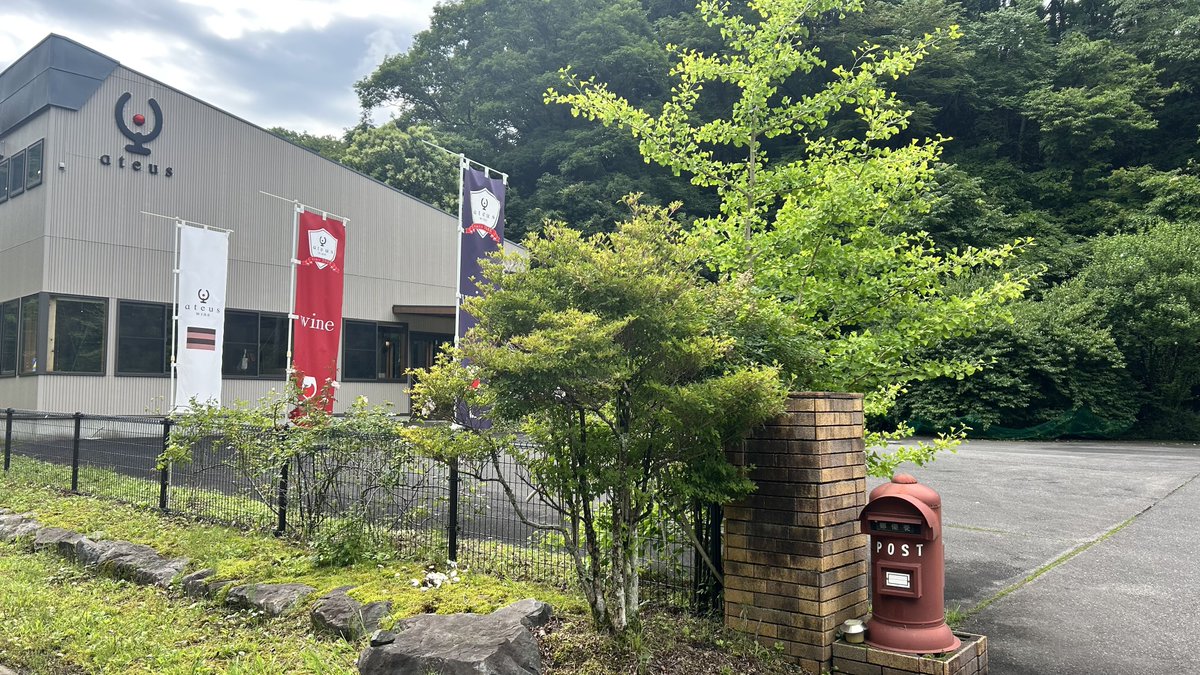 ateus_wine's tweet photo. おはようございます🐑☔️
今年の梅雨は久しぶりに｢梅雨寒｣と言う言葉を見聞きしますが毎度読み方があっているか不安になります📕
今日も一日よろしくお願いします☁️
 #企業公式が朝の挨拶を言い合う https://t.co/telBNeEVxy