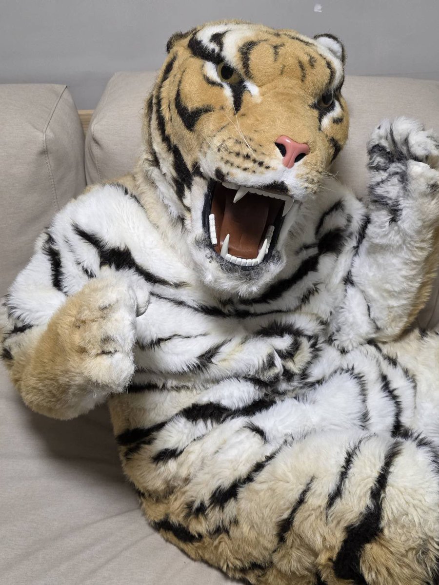 56marutora's tweet photo. #ケモノをみて今週もがんばりマンデー

今天擔當的是好久不見的寅次郎～

📷：@bpenguins_ https://t.co/VEWHhiakGd