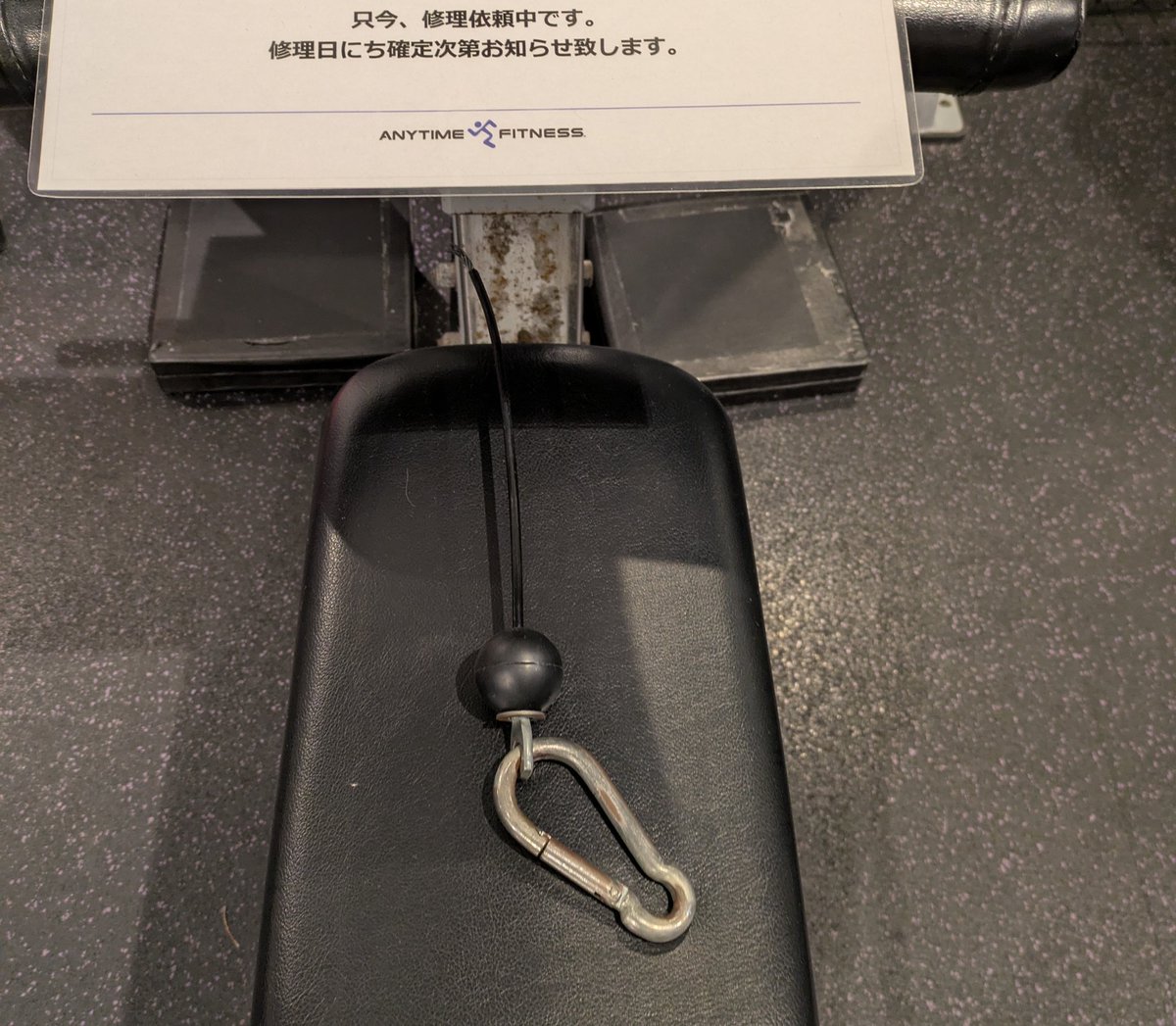 zzxn's tweet photo. ラットやろうと思ったら引き千切られてて草 https://t.co/AkSz4X4vo9