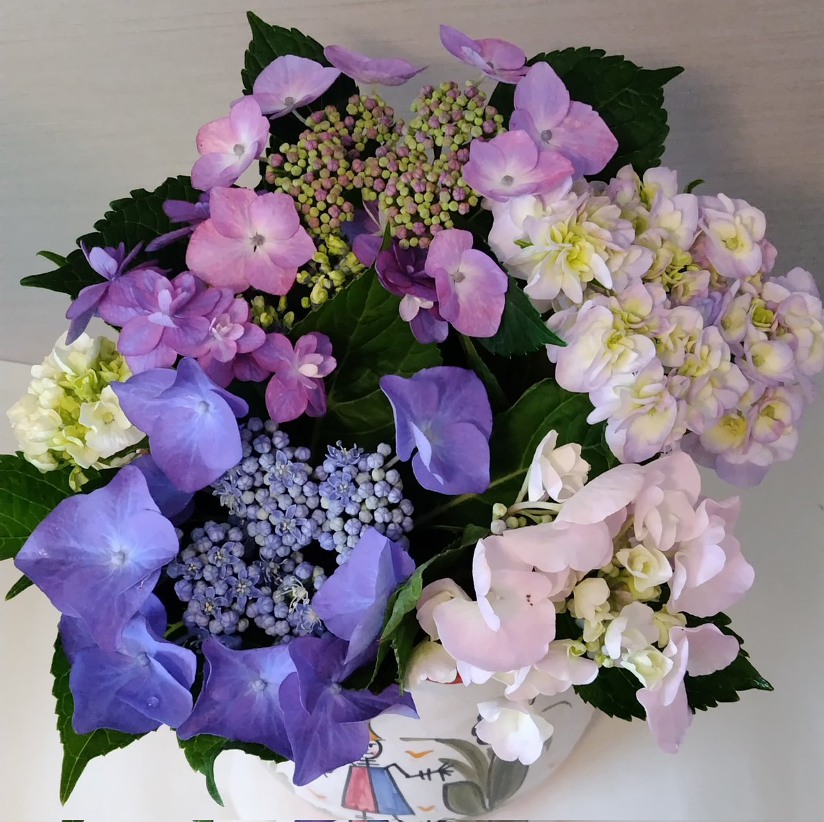 Gw61715's tweet photo. 「挿し木用にもらったアジサイたち🌸庭に植える前に、まずは花瓶で楽しませてもらっています。」 https://t.co/8Q039B9cuh