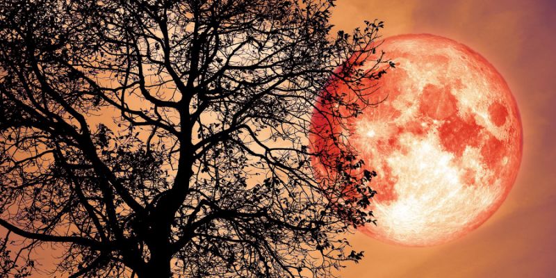 OneLuckyGirl_28's tweet photo. The Strawberry Full Moon is here! 🍓🌕
As the Cancer Sun illuminates the Moon, we hit a major monthly power point for completion &amp; endings. With squares to Neptune/Saturn it's time to restore balance between your personal and work life. What are u closing the chapter on tonight? https://t.co/VfEYkQkQq7