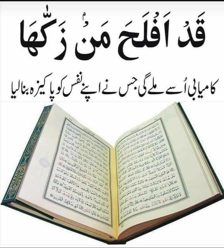 QaisarWith's tweet photo. #قومی_زبان @QaisarWith https://t.co/ver1XUvBz9