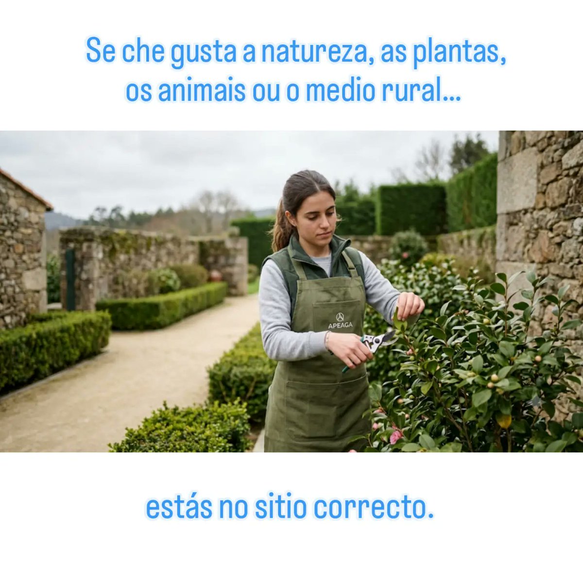 apeaga_redes's tweet photo. Somos APEAGA, a Asociación de Profesorado de Ensino Agrario de Galicia. Desexamos promover a #FPAgraria: xardinaría, forestal, gandería e + 🧑‍🌾

​Aquí atoparás:

🌱 Divulgación
🎓 Información de ciclos
👷 Saídas laborais
🏫 Novidades

​Benvida/o! 👋

#EnsinoAgrario #Galicia https://t.co/Wr51QPz4xu