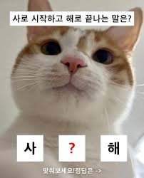 sattosi84's tweet photo. 사로 시작해서 해로 끝나는 말을? https://t.co/DaA1tDOzN0