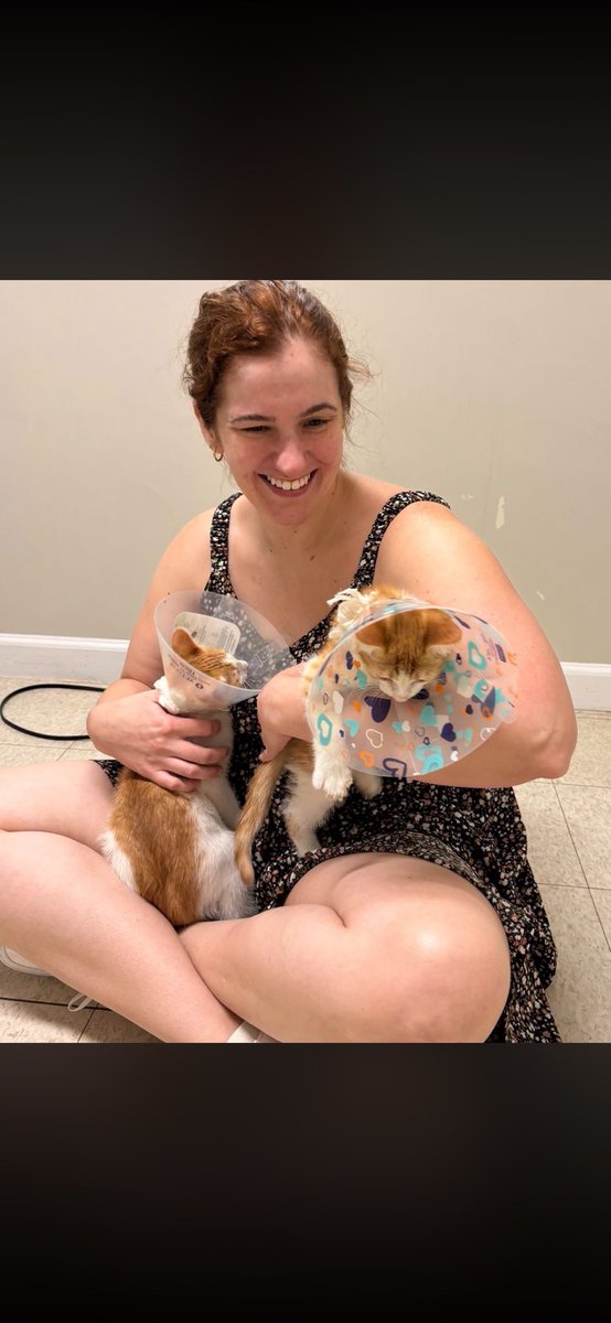 foreverpaws's tweet photo. Cappella and Capriccio found their forever home together 🥰 Their new family is in for a wild ride with these boys!
#animalshelter #animalshelters #fpas #rescuelife #sheltercats #rescuecats #sheltercat #rescuecat #animalrescue #foreverpawsfamily #community #adopt #kitten https://t.co/VKHGRrp1Ce