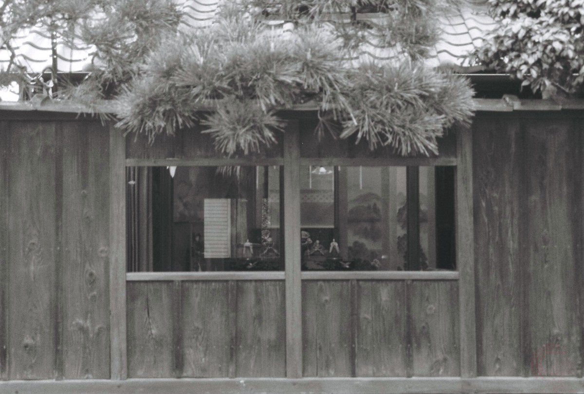 kyoto_suki's tweet photo. おはようございますm(_ _)m
#Olympus #OM2000 #レンズ一本 Zuiko AUTO-ZOOM 35-70mm F3.6 MC #Film
#FOMAPAN200 #チャンプカメラ https://t.co/C6fOZRCL8B