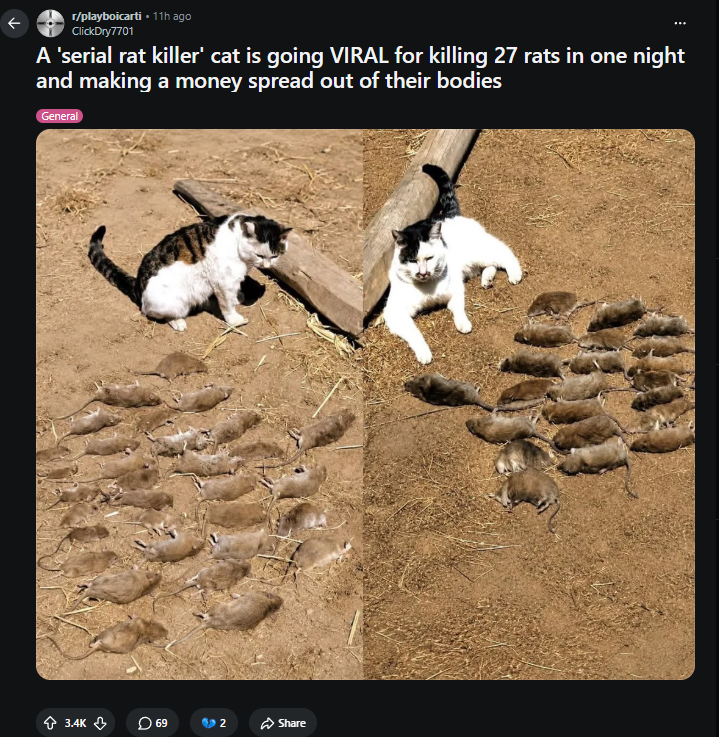 AndyDeveloper4's tweet photo. WTF This cat called 'Galahad' is going VIRAL on X and reddit for money spreading his 27 rat kills 🤣

People are memeing him hard in the comments putting him in mafia suits. He has GIGA Aura.

Name proof: https://t.co/rcBzzSgvli

https://t.co/KPPO7YpISy

https://t.co/TGQC6W1xh3 https://t.co/w77cGWoXJE