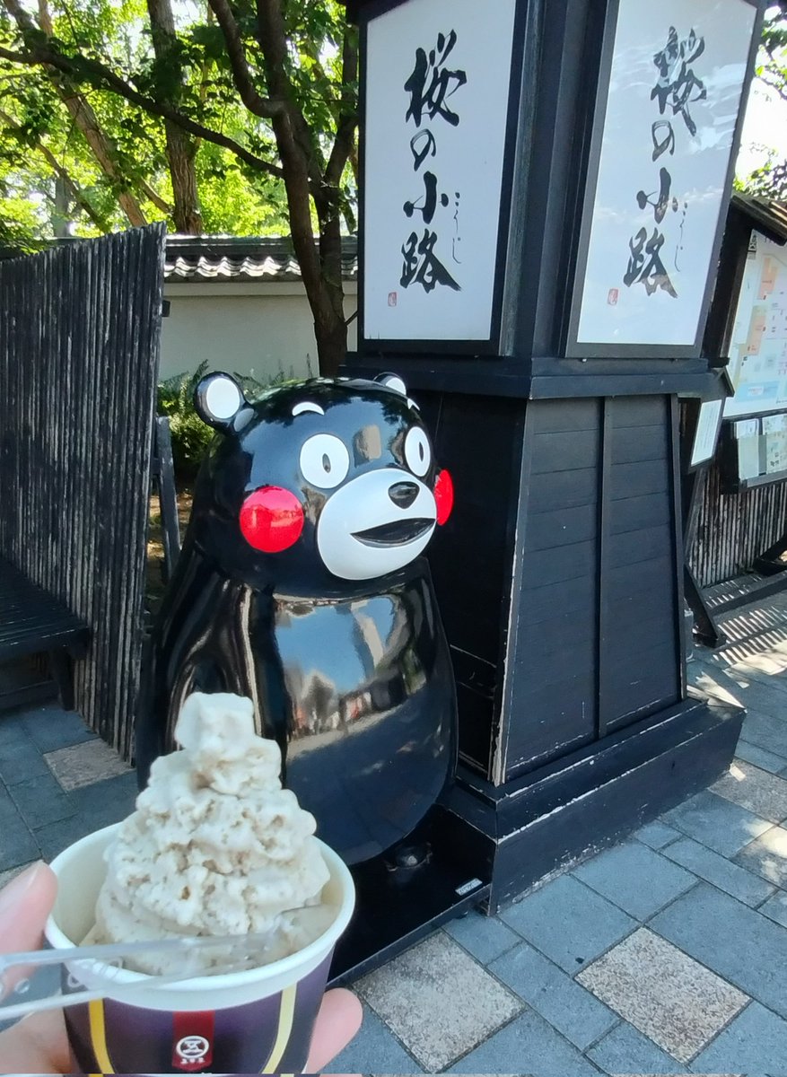 cyitaro's tweet photo. 朝のおさんぽ。 https://t.co/6jsMubWoKV
