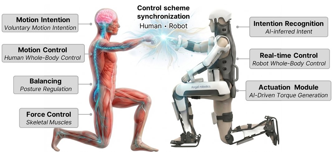 kaistpr's tweet photo. Thought-powered robots with sensation feedback? 🤖 KAIST and Angel Robotics have begun developing a bidirectional Brain-to-Robot technology that aims to control a full-body exoskeleton with brain signals and send sensory data back to the user. #KAIST #BrainToRobot #Robotics #AI https://t.co/vh9uqwprWJ