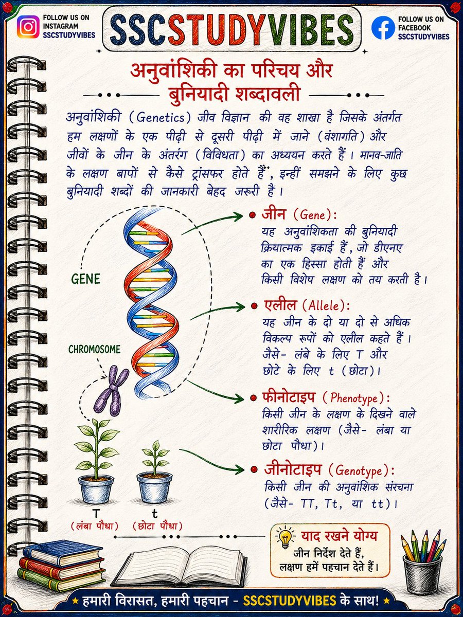 Sscstudyvibes's tweet photo. 🧬 आनुवंशिकी (Genetics) को आसान भाषा में सीखें! 📚✨

NCERT आधारित शॉर्ट नोट्स, महत्वपूर्ण सिद्धांत और परीक्षा-उपयोगी तथ्य एक ही पोस्ट में।

📌 ऐसे ही शानदार स्टडी पोस्ट के लिए हमें फॉलो करें: @SSCSTUDYVIBES

#SSCSTUDYVIBES #Genetics #NCERT #Biology #Class12 #NEET #CUET#BoardExam https://t.co/muyRaSrUtb