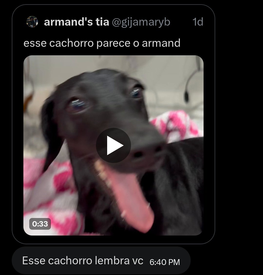 chiendogperro's tweet photo. Todo dia isso https://t.co/UM4Nf0drYU