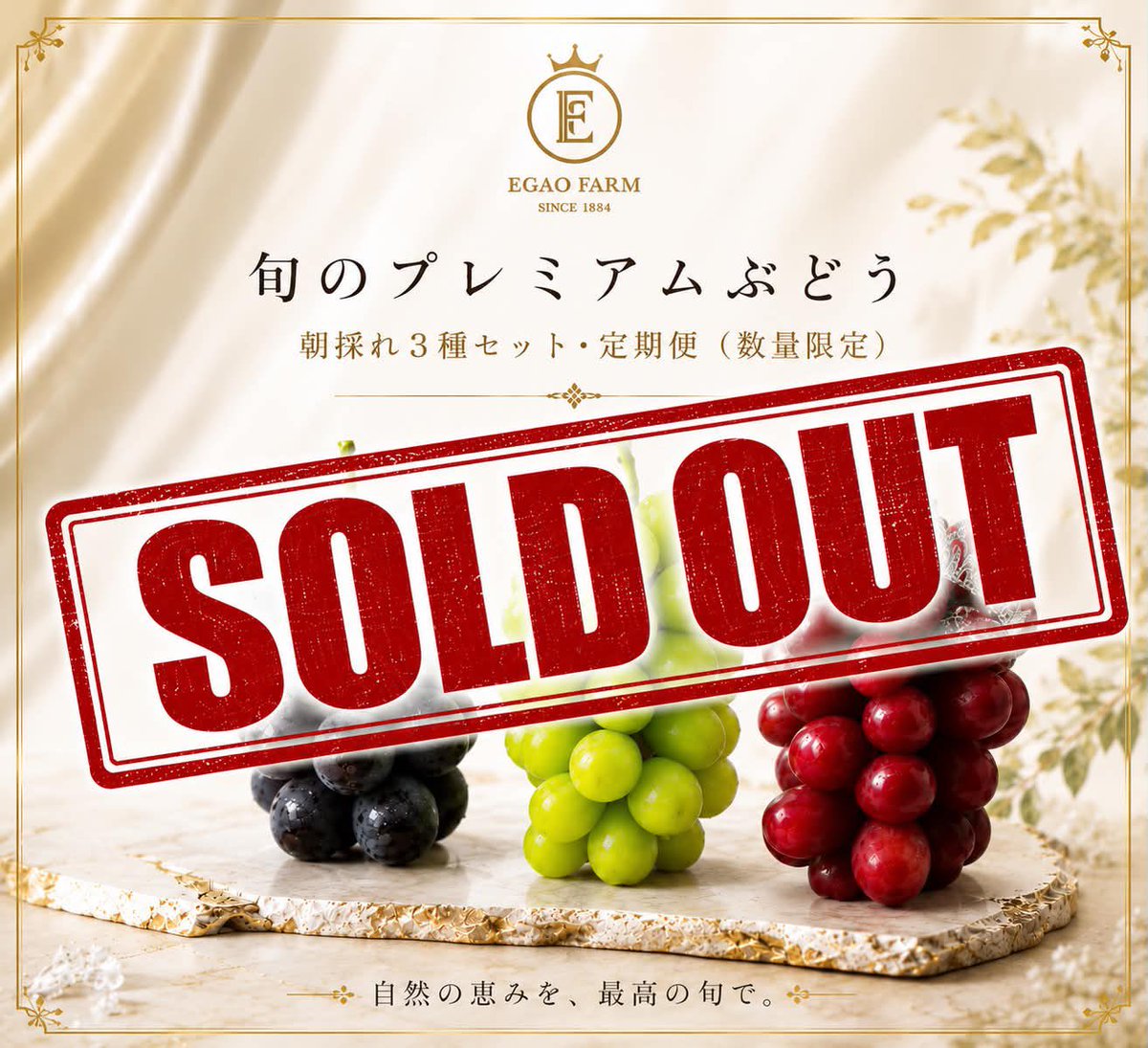 EgaoFarm's tweet photo. 昨日公式LINE先行で『旬のプレミアムぶどう3種定期便』を予約開始したのですが、わずか17分で第一次販売が完売となりました😳
あまり告知もしてなかったので、こんなにも待っていてくださる方がいることに驚きと感動の本日です。
本当にありがとうございます！
第二次販売ができるよう頑張ります！ https://t.co/IMeUqJWN3X