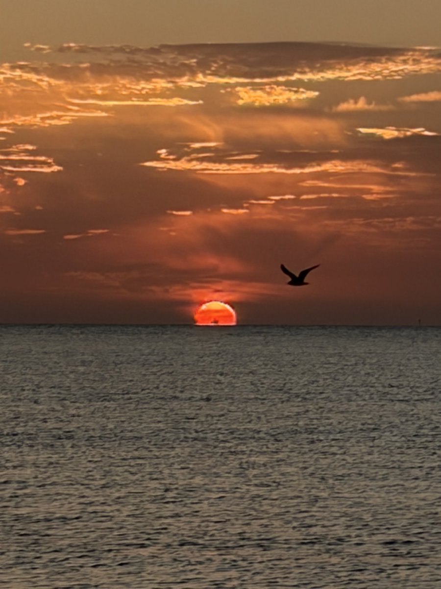 KEITHisms81's tweet photo. .@spann one more from the West End Dauphin Island. Headed back to east central Alabama tomorrow. https://t.co/C7EHE5nACc