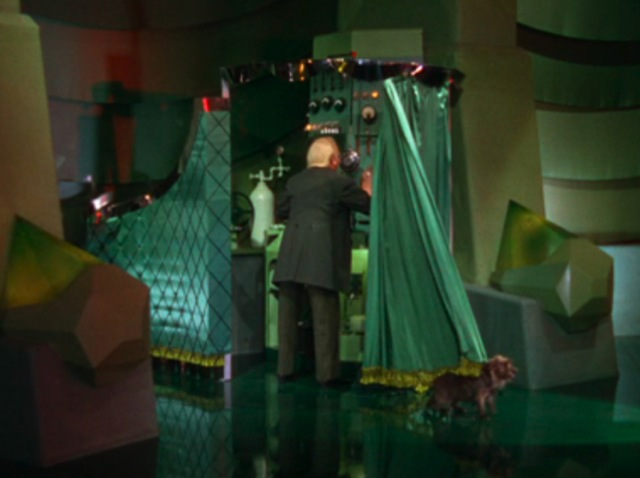 ProfessorX11112's tweet photo. @Carydashm @Christy4Change Not so sure about that.  It was a fascinating display of polarized politics that allowed many people a brief chance to see how the wizard of oz was behind the curtain trying to control the narrative. https://t.co/mO1GRusQXW