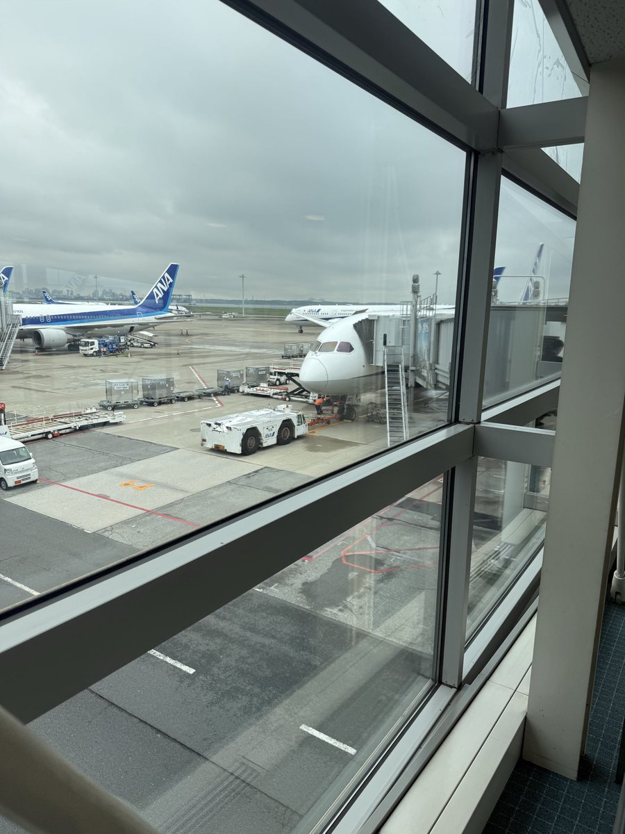 wickedrabbit_'s tweet photo. 本日のエンタープライズ号(国内線) https://t.co/XJJmzeDvSN