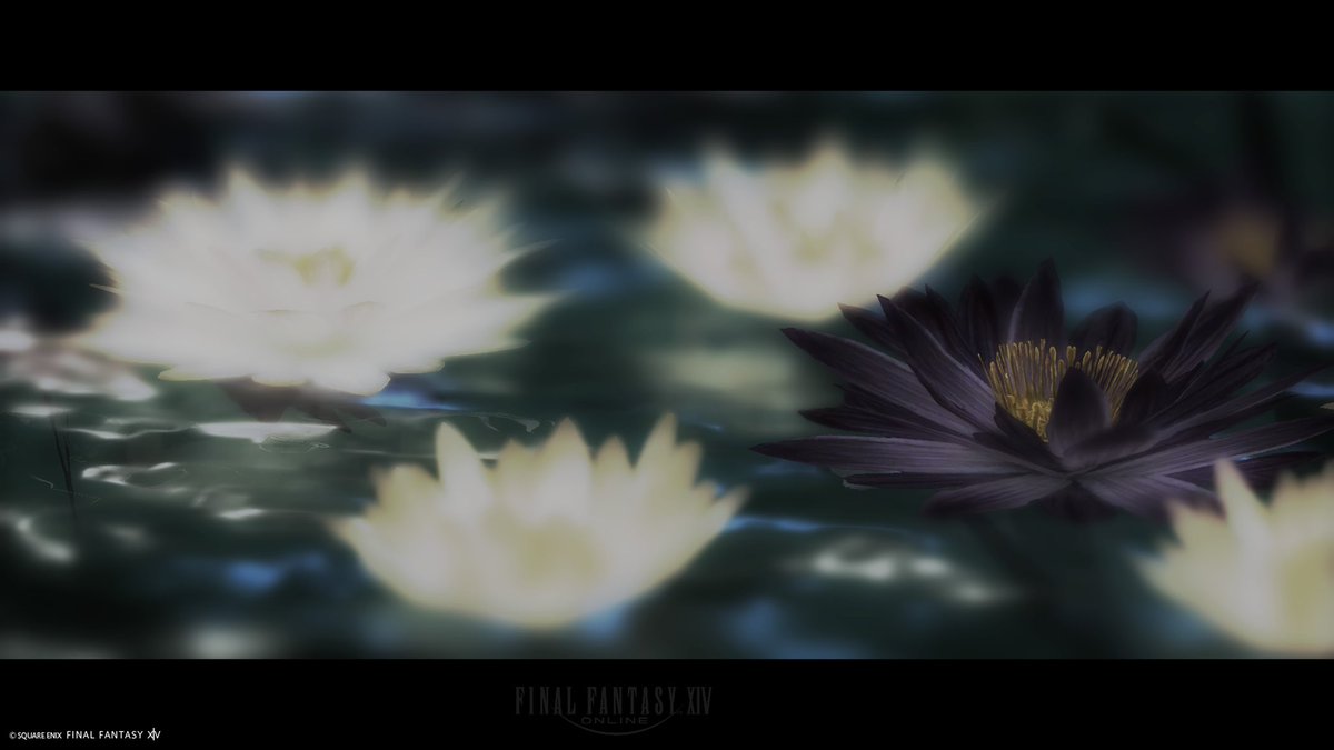 moonlightJEWELY's tweet photo. #FF14風景 https://t.co/Q02K2zIuZq
