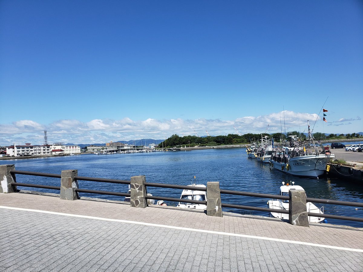 kacchi_kun's tweet photo. 函館観光⚓ https://t.co/ZpSuTd7lH5