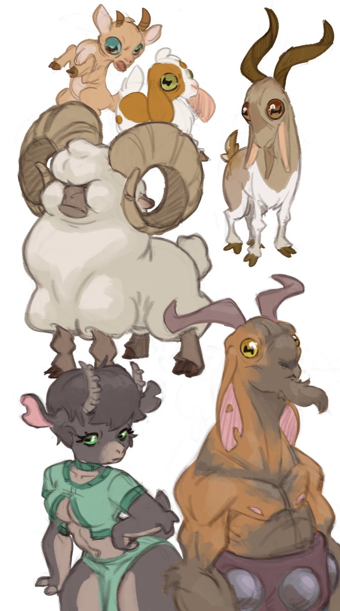 mammothghost's tweet photo. Goats https://t.co/OWL6TAUmlD