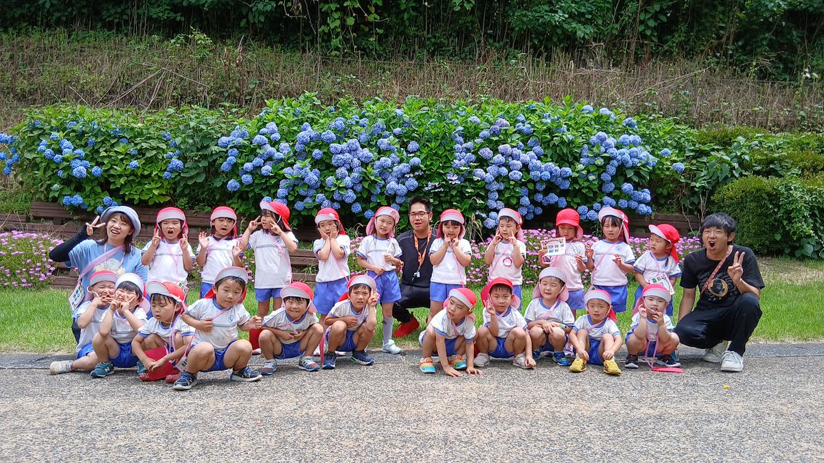 SYochien's tweet photo. 年中さんと年少さんが、であいの森に園外保育に行ってきました。

綺麗に咲いたアジサイの花を見たり虫を見つけたりと自然を満喫しました。

梅を見つけて匂いをかいだり木の幹にある穴をのぞき込んでみたりしました。
心地よい風も吹いていて「気持ちいいね〜」と初夏を感じました。

#鳥取市 https://t.co/H2zYnlMr86