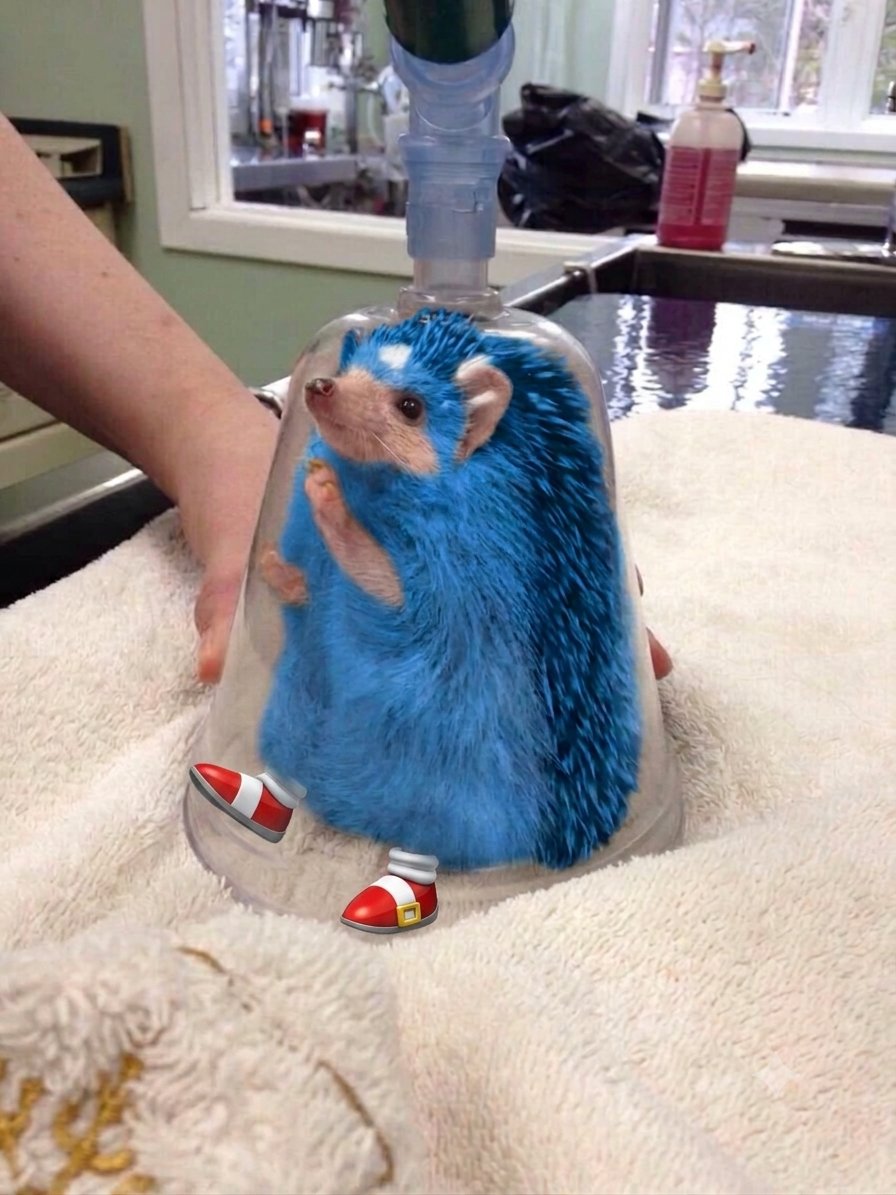 The_D00MSlayerX's tweet photo. https://t.co/6RUZHsaB4h