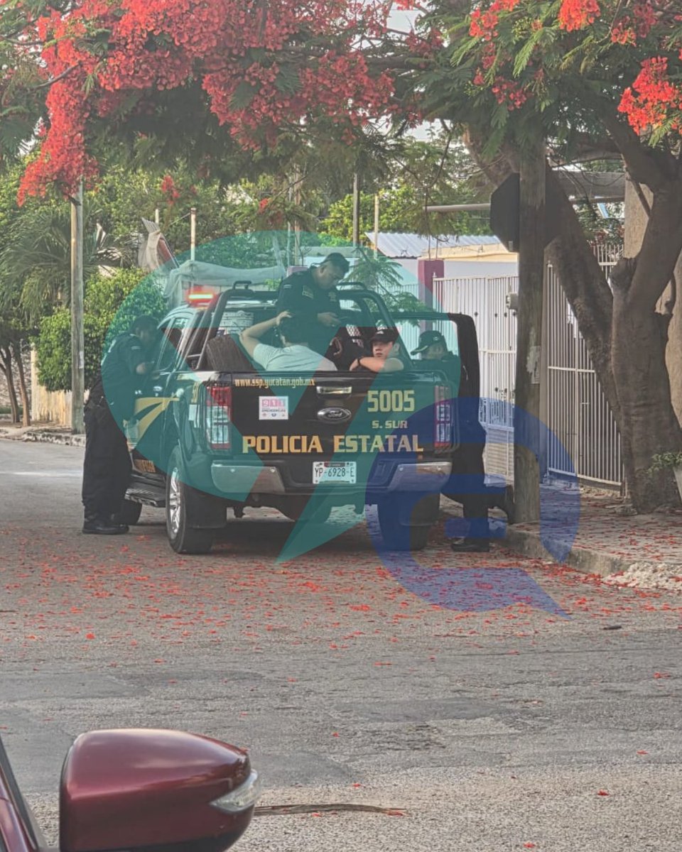 yucatanahora's tweet photo. BROMA DE MAL GUSTO MOVILIZA A DECENAS DE PRESTADORES DE SERVICIOS EN MÉRIDA

#Policía | Una broma de mal gusto movilizó esta tarde a mariachis, más de 30 repartidores de comida, prestadores de servicios de limpieza y cuatro acompañantes a un domicilio en la colonia Salvador Alvarado Sur.

La propietaria de la vivienda, Wendy Hoil Cortés, relató con sorpresa la llegada masiva de trabajadores que fueron citados bajo falsos pedidos, percatándose de que un sujeto grababa la situación con su celular.

Tras ser confrontado por la afectada, el individuo confesó haber realizado la broma a cambio de dinero, lo que derivó en el reporte a la Secretaría de Seguridad Pública y la posterior detención de tres personas involucradas.

Suscríbete a nuestro canal de Youtube 👇
https://t.co/mlzHfSDEKV

#YucatánAhora
