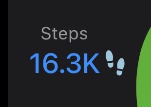 anieurysm's tweet photo. @Vivii287 not sure if this helps. but these are my steps today just from walking around in circles in my living room or bedroom lol https://t.co/ZHY6kKoXR0