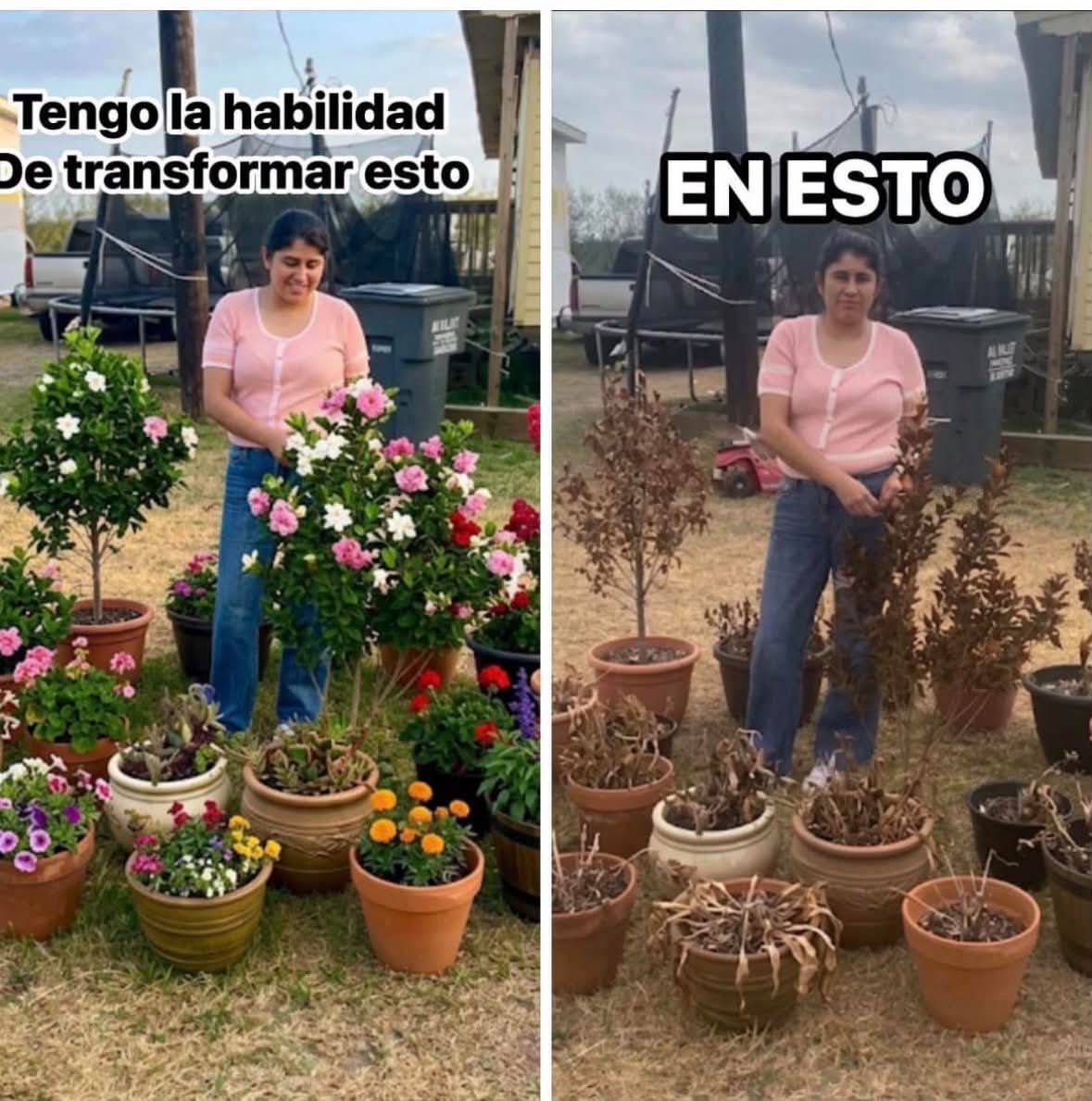 MsCiencia2's tweet photo. 😆 https://t.co/OPtLuiQ72t