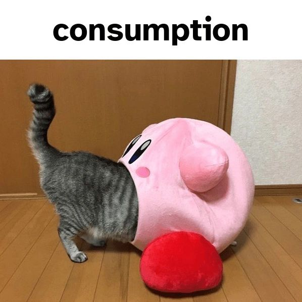 PunchingCat's tweet photo. https://t.co/pBWap8oCrC