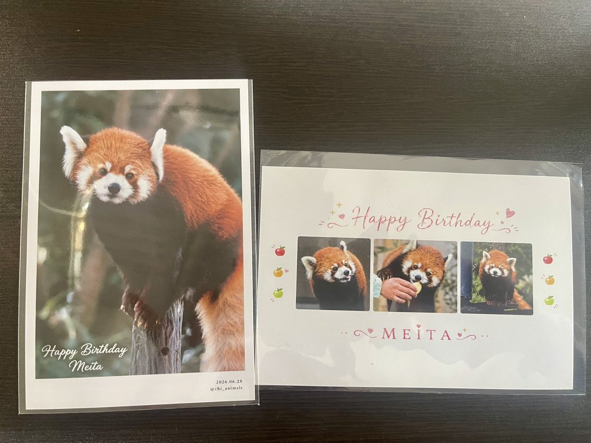 昨日の千葉市動物公園のレサパン3頭同時誕生祝いではchii