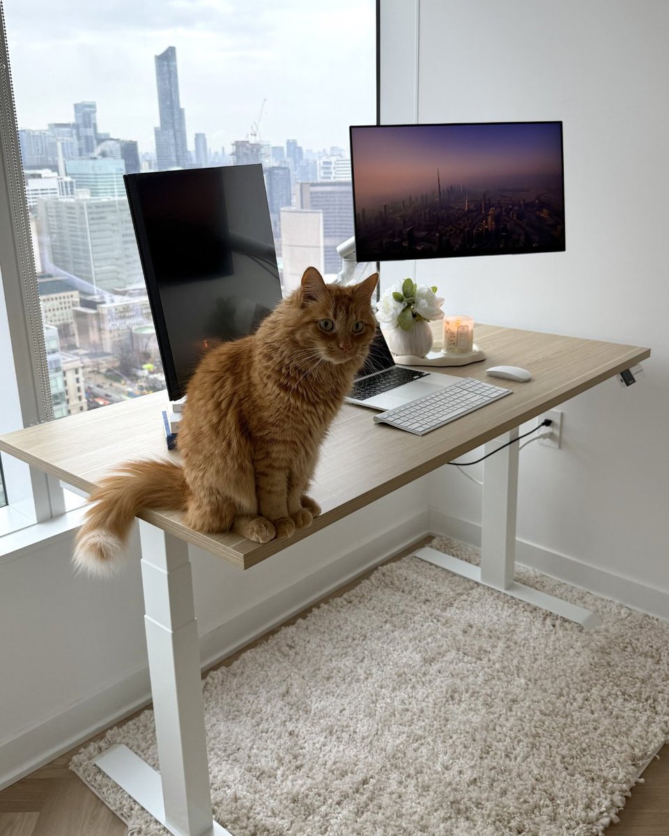 deskyau's tweet photo. Felix has officially claimed the best seat in the house, and we can't say we blame him! 🧡🙌 🐈
📸Beautiful Dual Melamine Sit-Stand Desk in Classic Oak with White frame - 1500(59.1") x 750(29.5")
#Desky #DeskyDesk #OfficeCat #WorkspaceInspo https://t.co/H7aFvXCefM