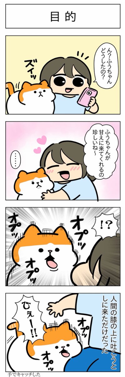 felissimonekobu's tweet photo. 「目的」（はる蔵さんの「ふうらい日和」第248回）
2本目「キャッチ」はこちら⇒ https://t.co/FJCnqSY3Wb https://t.co/9F4T2Iy2De