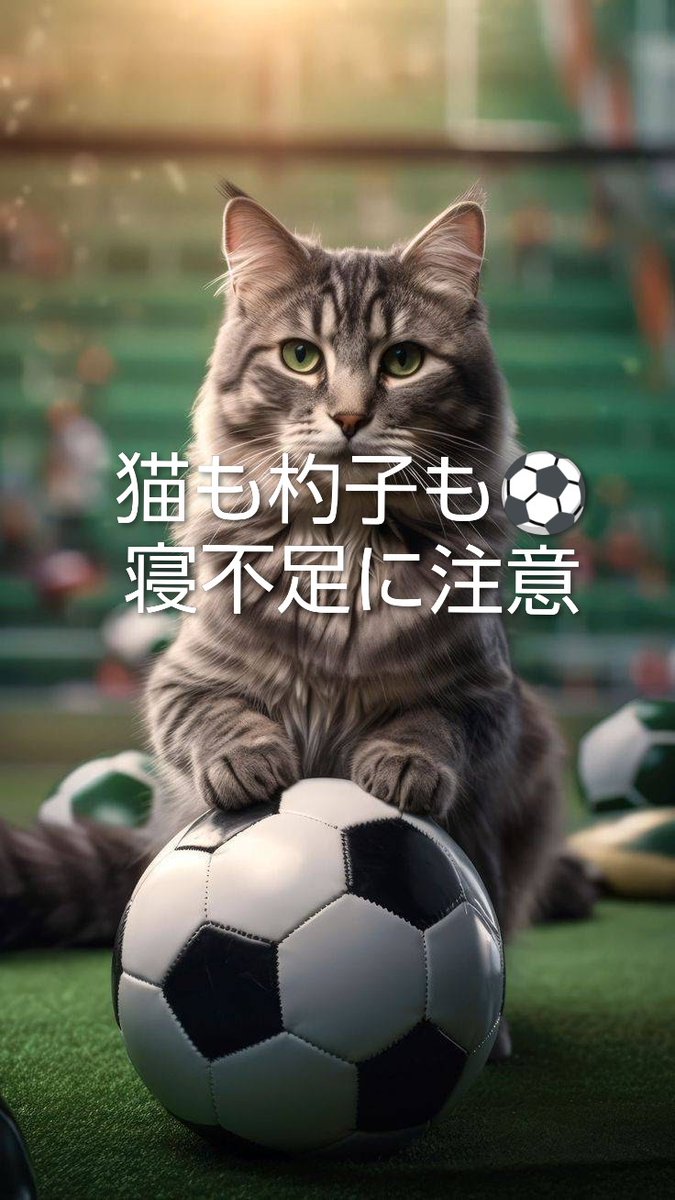 kanichi69's tweet photo. 日本🇯🇵頑張って下さいね○
僕は見れませんので⚽️残念
 1日のスケジュールが有る
だから実写📺️は観られ無い
ニュース⚽️で観戦🚩😃🚩
フレー😃フレー😃日本💚
僕も少しずつ元気になって
リハビリも少しずつ🚶🦵
   頑張ってますょ⏰
宜しくお願いします🙇⤵️ https://t.co/cNXXKLRZ0h