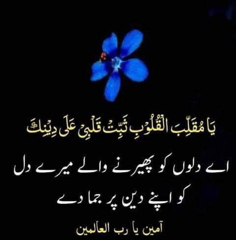 🦋Wa$i...⚘ tweet media