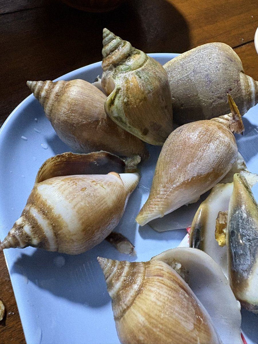NochPH's tweet photo. #รีวิวพังงา #รีวิวเขาหลัก #อร่อยบอกต่อ 

ไม่อยากใช้คำว่าร้านลับ ร้านนี้ยังไม่ดัง มีแค่ 4 โต๊ะ อยู่ในหลืบ ในหมง เข้าซอยมา เป็นบ้านคนแบบทำกันเองหลังบ้าน ชื่อ ‘ลุงไก่ ปูนิ่ม’ แน่นอนปูนิ่มดีมาก และถูกมากๆ 

ใครชอบรสใต้แบบไม่หวาน ไม่ลดเผ็ดเอื้อฝรั่งจะฟินมาก น้ำพริกกุ้งสดอึ้งไปเลย หอยชักตีนสดน้ำจิ้มนัวรสหอย ปลากะพงแดงทอดแน่นกว่าปลากะพงขาว มาเย็นหน่อยข้างร้านเป็นบ่อน้ำสวยมาก ห่านว่ายไปมาอย่างโรแมนติก 

รสชาติที่คนใต้ด้วยกันอนุมัติ!