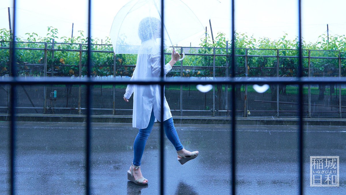endoaiku's tweet photo. 雨！ https://t.co/8ISYURqY9y
