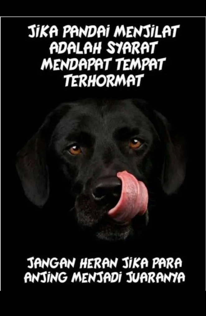 SyamArning's tweet photo. @ade745780 @alisyarief https://t.co/4Y3C3CKIcV