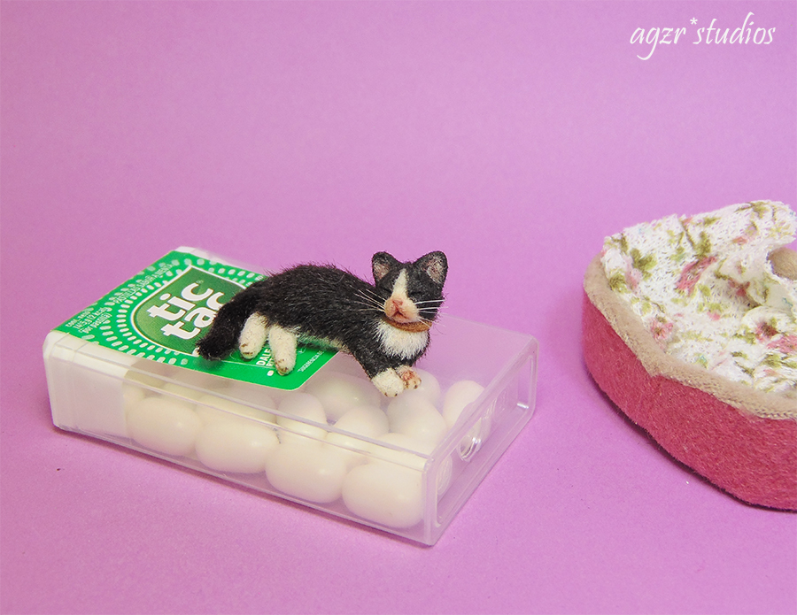 agzrstudios's tweet photo. 1:12 scale miniature cat. AVAILABLE ON EBAY.
https://t.co/tH17yFFEPS https://t.co/kHK6BJv7vT