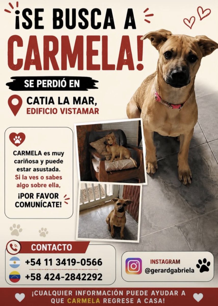 AliceeProAnimal's tweet photo. SE BUSCA CARMELA!
CATIA LA MAR, EDIFICIO VISTAMAR. https://t.co/IlZi5zsfpN
