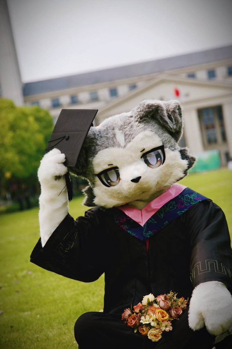 whaleyuan's tweet photo. 卒業しました~🎉🎊
#FursuitEveryday https://t.co/4ziuFeUTOA