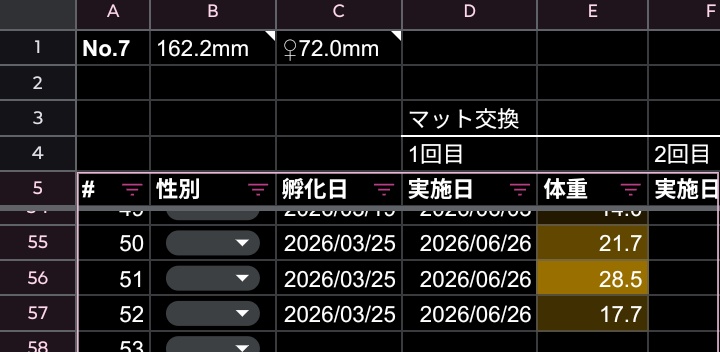herahera_diary's tweet photo. 血統系のボトル引っ越し。孵化3ヶ月経つと3令多数でいつもより体重が重め。
https://t.co/2IHACyfLig https://t.co/YMxT0kz0jN