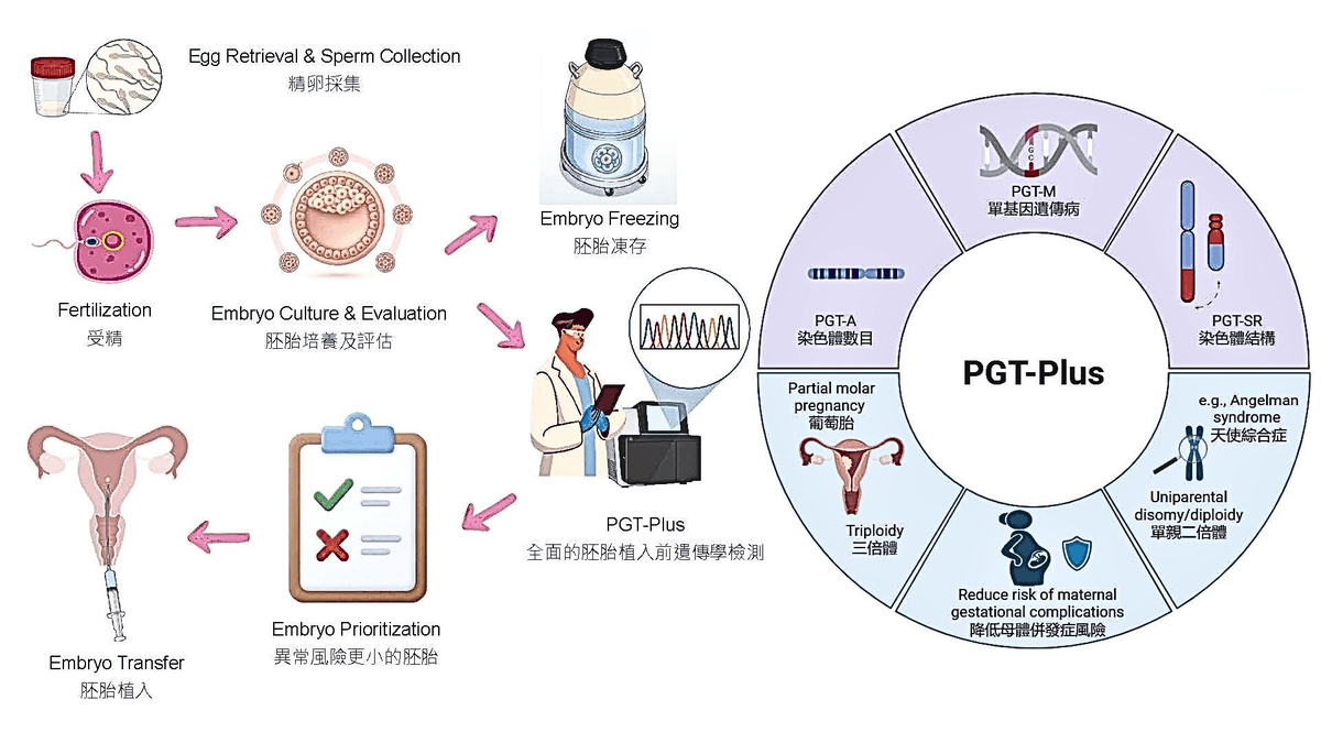 CUHKMedicine's tweet photo. @CUHKMedicine’s study of over 1,000 blastocysts reveals that the new one-stop #PGT‑Plus detects triploidy and genome-wide uniparental disomy missed by conventional tests, which helps improve embryo selection, reduce #implantation failure, and support safer #assisted reproduction treatment.