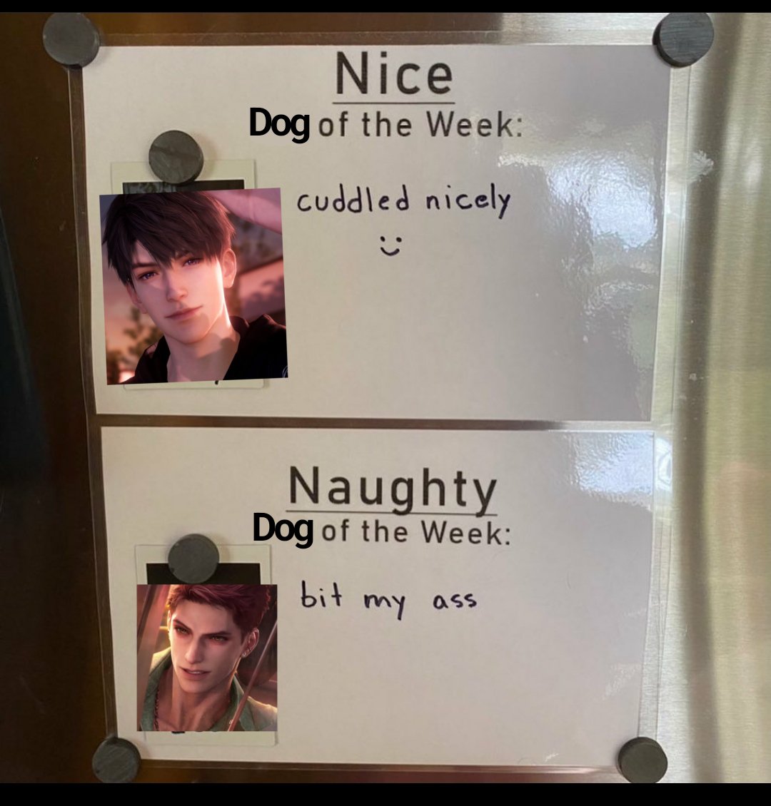 ringopingguo's tweet photo. meet woof woof and arf arf https://t.co/AGFjhq7BJ3